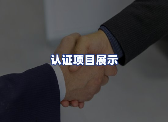 认证项目展示